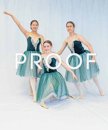 Ballet Ind-5655