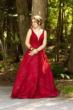 Prom-9971