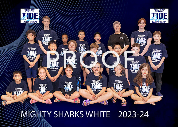 Mighty Sharks White