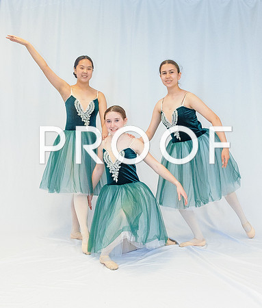 Ballet Ind-5653