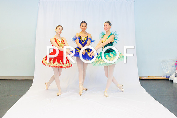 Ballet Ind-5617