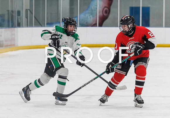 P06A3341