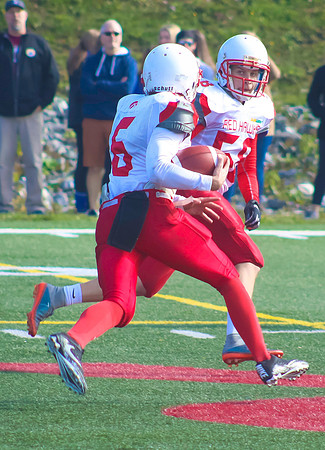 ball18