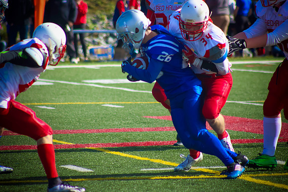 ball29