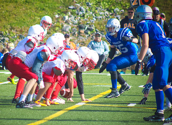 ball31