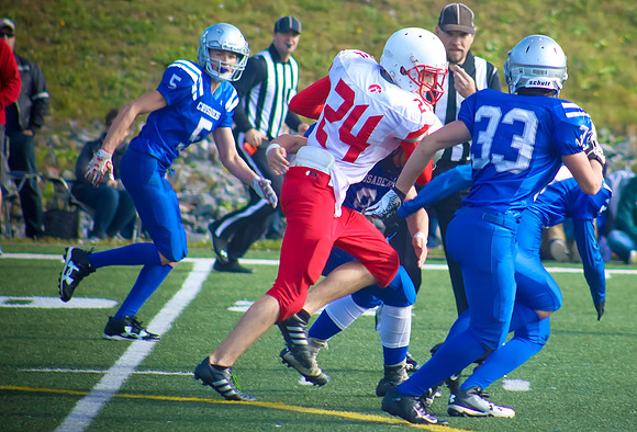 ball33