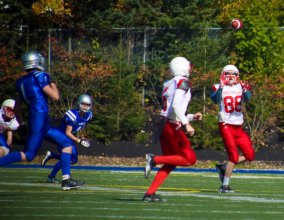 ball50