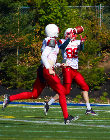 ball51