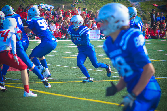 ball135