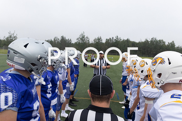 KVvESA-1699