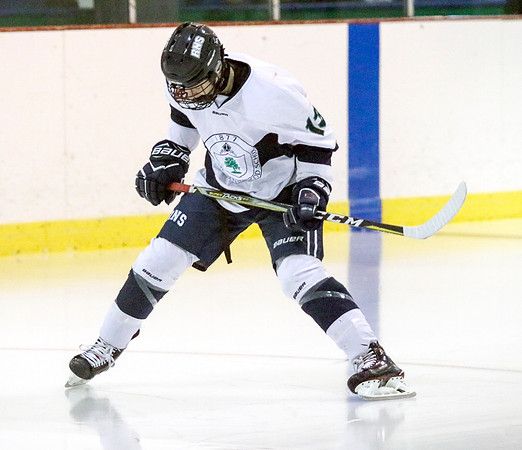 hockey 109