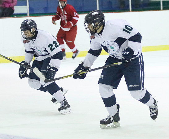 Hockey 177