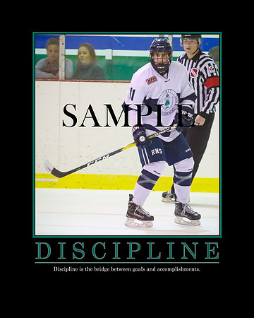 Discipline
