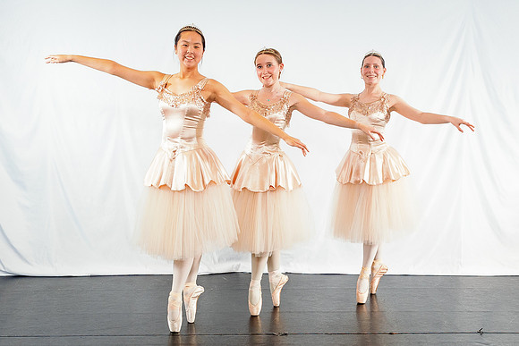 Nutcracker-3301
