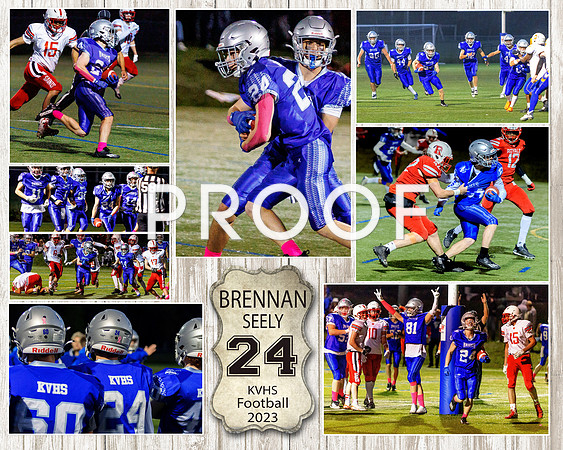 Brennan draft 1