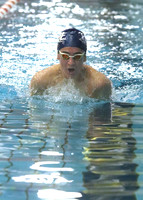 Breast Stroke 1