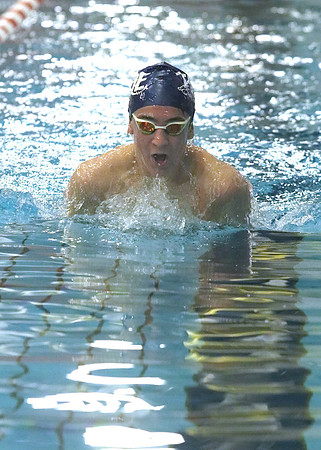 Breast Stroke 1