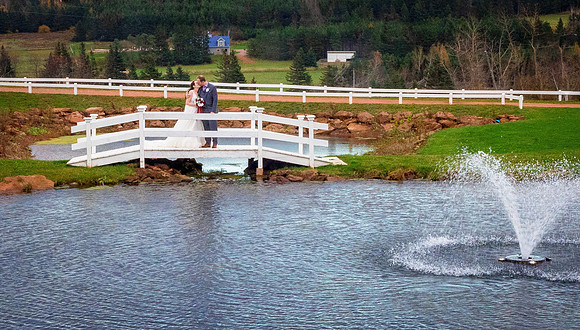 Wedding-0491-2