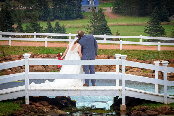 Wedding-0497