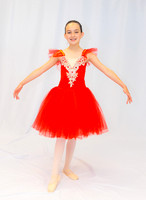 Ballet Ind-5322