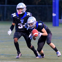 KV FHS-45582Fl-Motion