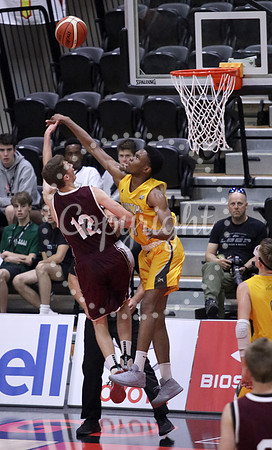 hoop 4