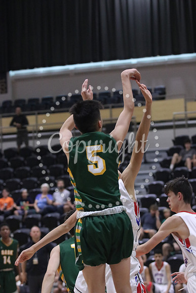 IMG_3181