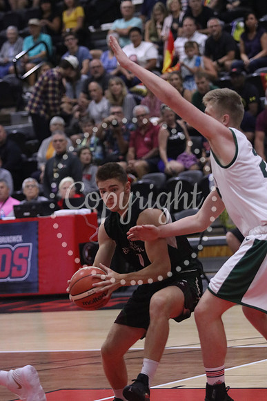 IMG_6815