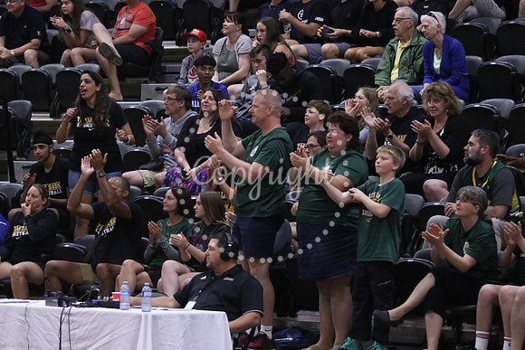IMG_7103