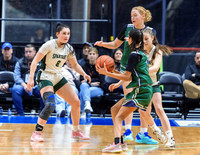 2024 Final 12 - AA Girls