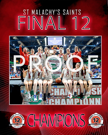 St. Malachy's  champions