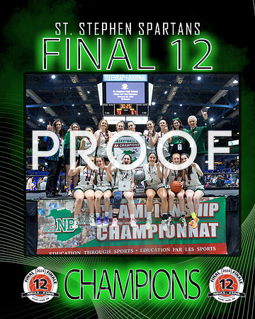 St. Stephen champions