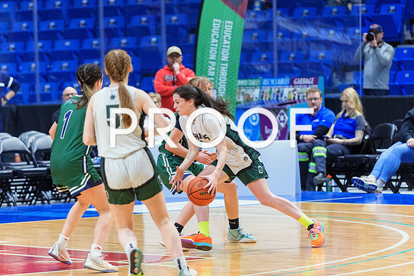 AA girls 24-7251