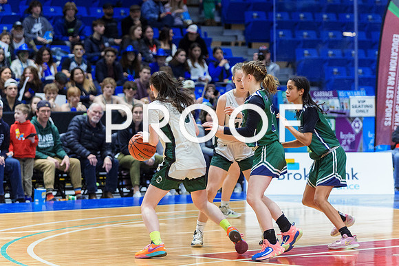 AA girls 24-7341
