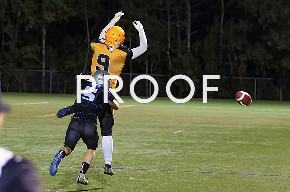 KV FHS-48122Fl-Motion