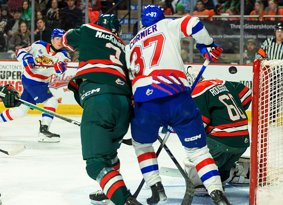 Cats -9330