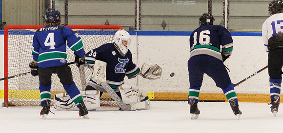 Seniors hockey-7436