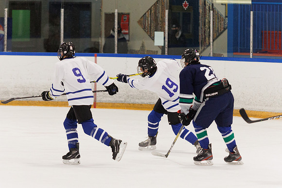 Seniors hockey-7584