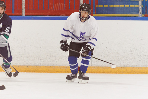 Seniors hockey-7328