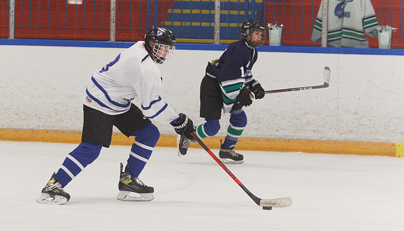 Seniors hockey-7485
