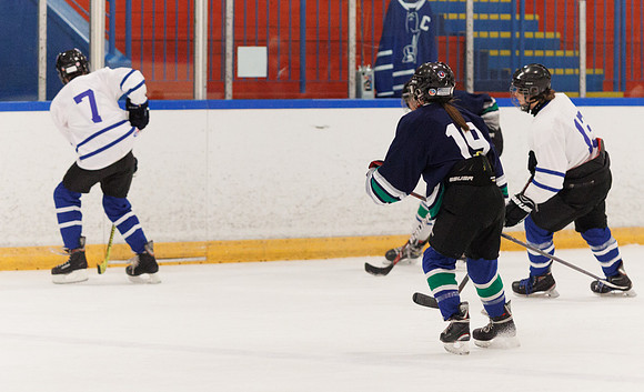 Seniors hockey-7484