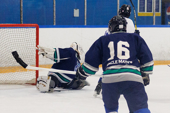 Seniors hockey-7350