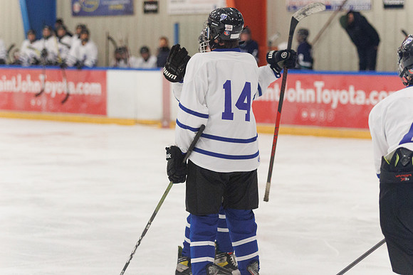 Seniors hockey-7231