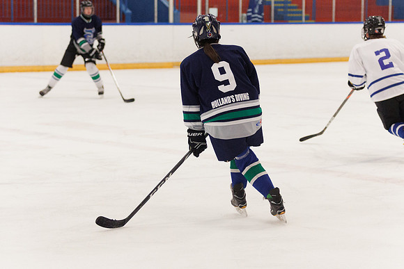 Seniors hockey-7403