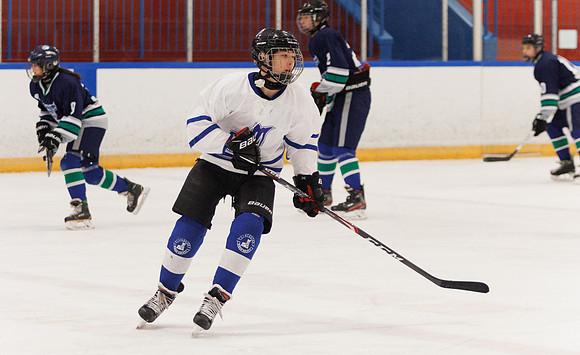 Seniors hockey-7409