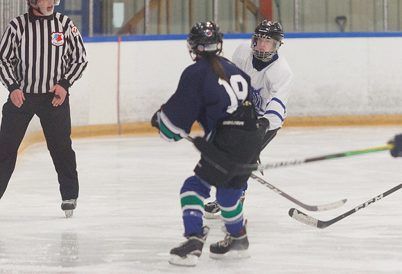 Seniors hockey-7205