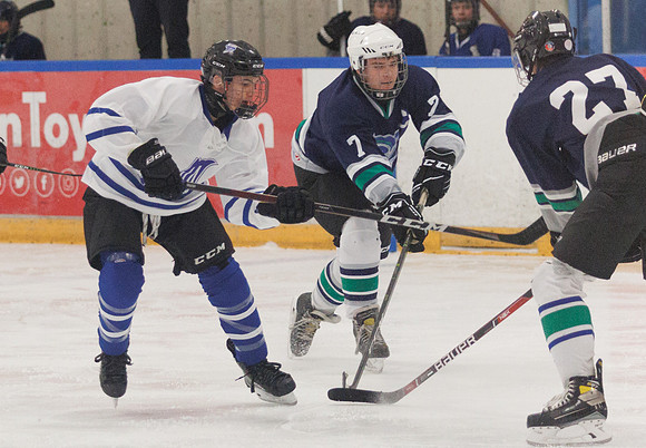 Seniors hockey-7201