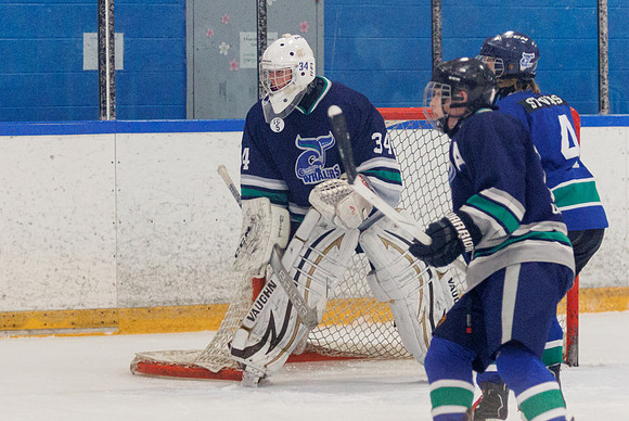 Seniors hockey-7321