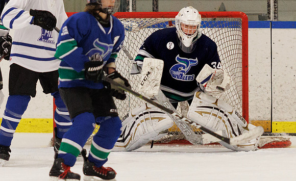 Seniors hockey-7443