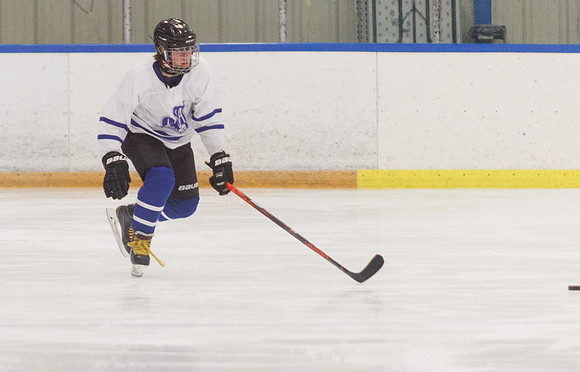 Seniors hockey-7211